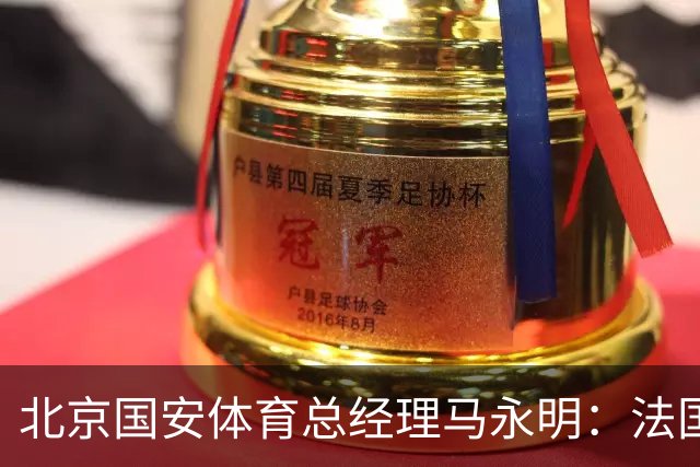 北京国安体育总经理马永明：法国是夺冠热门 德国目标是至少四强